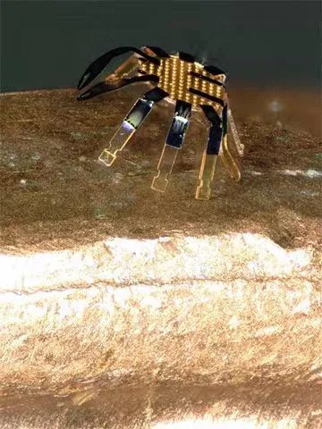 全球最小的遙控行走機器人誕生，用激光實現(xiàn)精準(zhǔn)運動控制